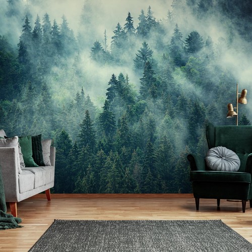 Fototapete wald nebel - nebel, natur
