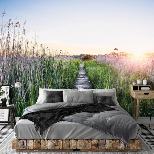 Landschaft natur pier sonne - natur,