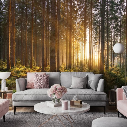 Fototapete wald sonnenwald - 3d,
